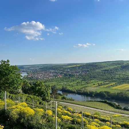 Hotel Maindrei - Schlafen Am Fluss Margetshöchheim Esterno foto