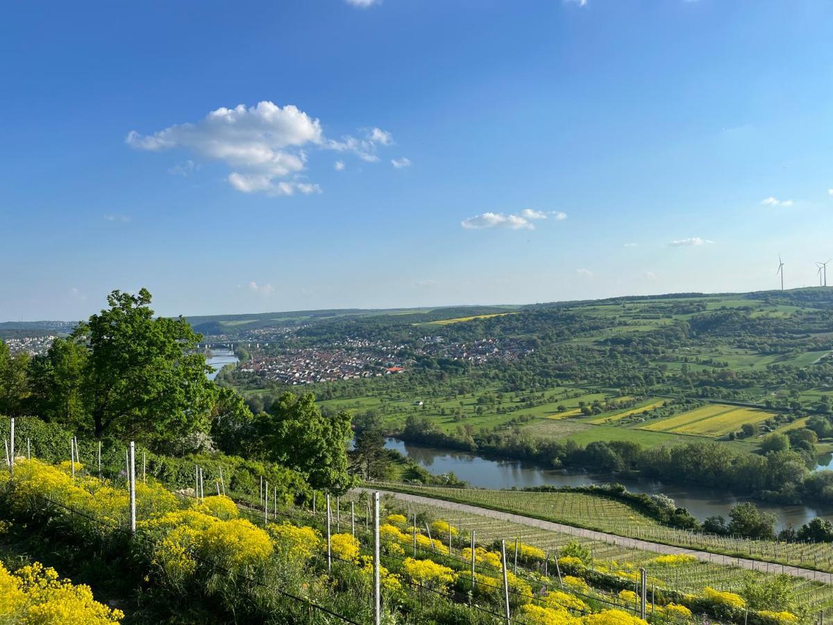 Hotel Maindrei - Schlafen Am Fluss Margetshöchheim Esterno foto